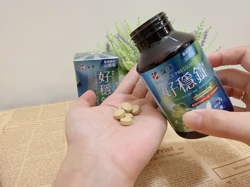 試用
